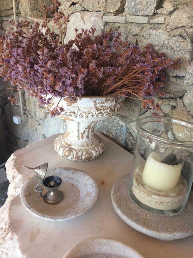 Beachfront Mykonos Guest House أورنوس المظهر الخارجي الصورة